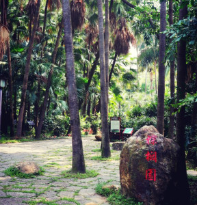 中国科学院华南植物园的植物