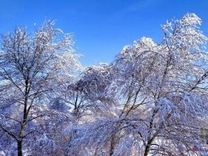 肃南裕固族自治县迎第一场雪