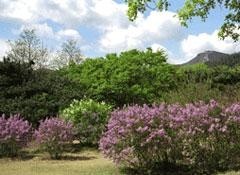 北京植物园