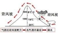 迎风坡