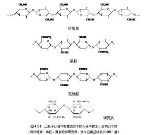 纤维素图片