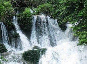 花鱼洞国家森林公园