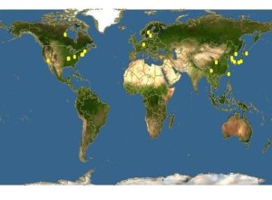 软枣猕猴桃分布地图