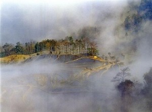 红河哈尼梯田风景