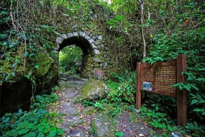 杨梅坳景区