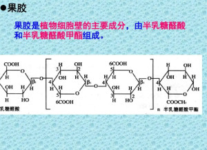 果胶