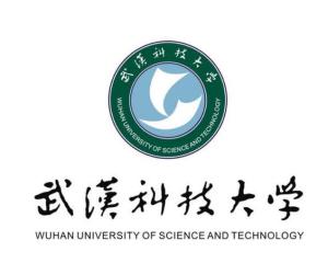 武汉科技大学