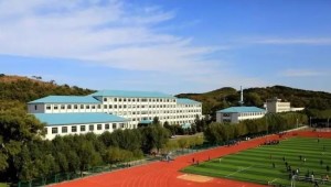 辽宁职业学院