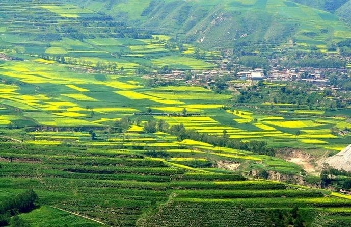 黄土高原农业种植区