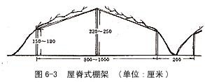 屋脊式棚架