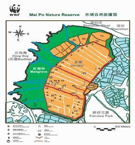 米埔位于香港的西北部