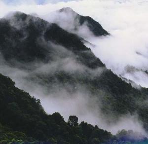 梅州雁南飞茶田度假村