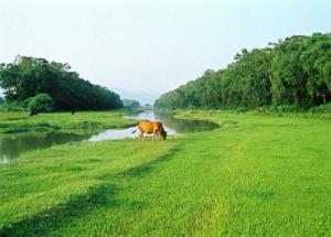 新店镇九溪沿岸风光