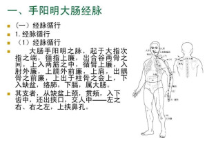 大肠经