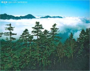 神农顶风景区