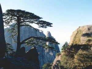 黄山风景区