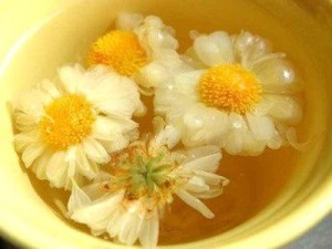 菊花茶