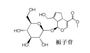 栀子苷