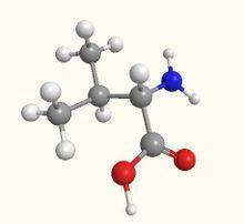 缬氨酸