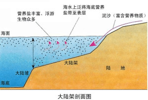 大陆架