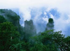 大湾口景区