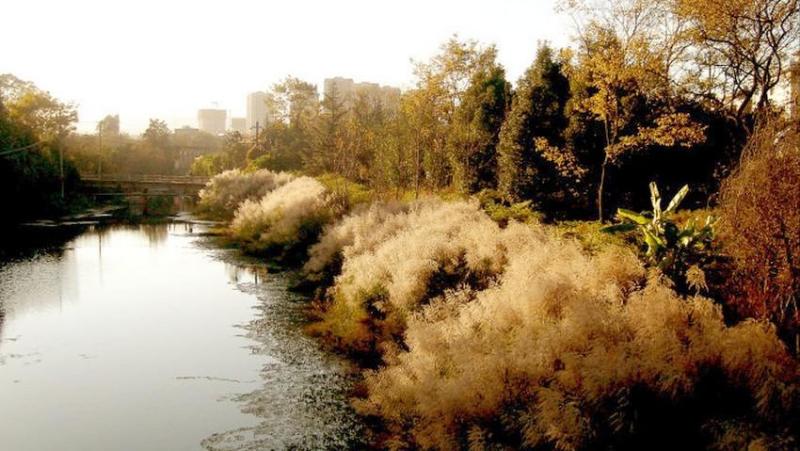 金汁河松花坝下河道