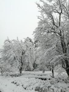 2018年1月3日，广水大雪