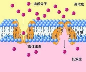 协助扩散