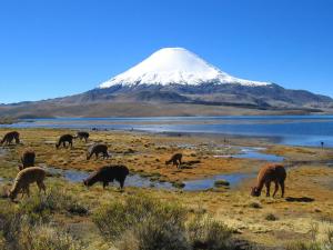 Parinacota火山