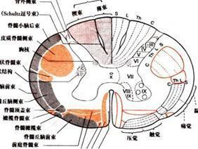 呼吸衰竭