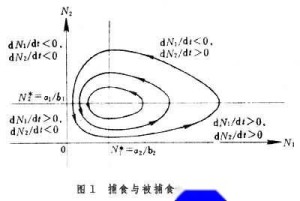 生物数学