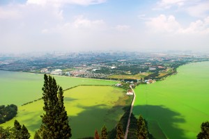 滇池水质恶化