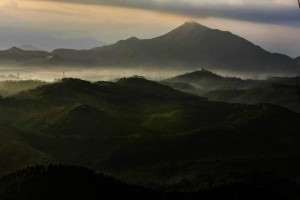 高州东南部谢牛岭